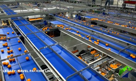 Suntreat selects Ultimo to digitise maintenance