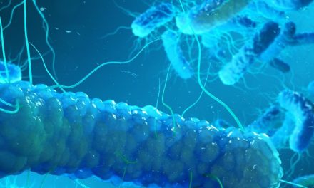 Facilities urged to prioritise water safety amid London Legionella outbreak