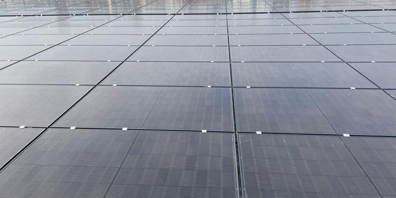 Essentra reaffirms its sustainability commitments