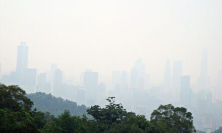 Bureau Veritas calls for businesses to act faster on contributions to PM2.5 emissions