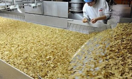 Hot enough? How combining thermal vision with traditional vision is redefining food safety, compliance and automation