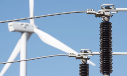 Transforming sustainability