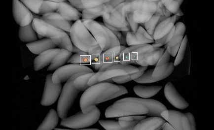 Improving Contaminant Detection with Dual Energy X-ray and Photon Counting