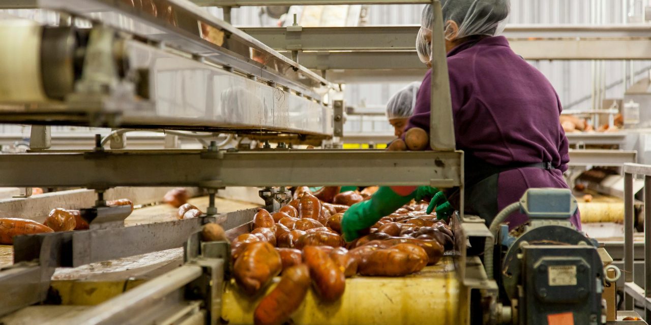 Managing noise on food’s factory floor