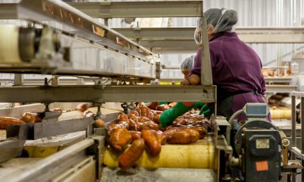 Managing noise on food’s factory floor