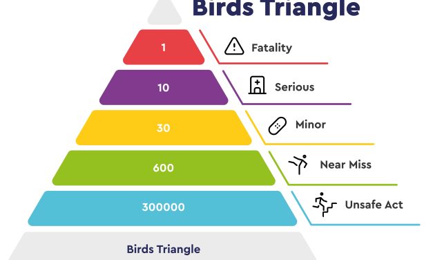 How Geobear reduced workplace accidents 45 per cent