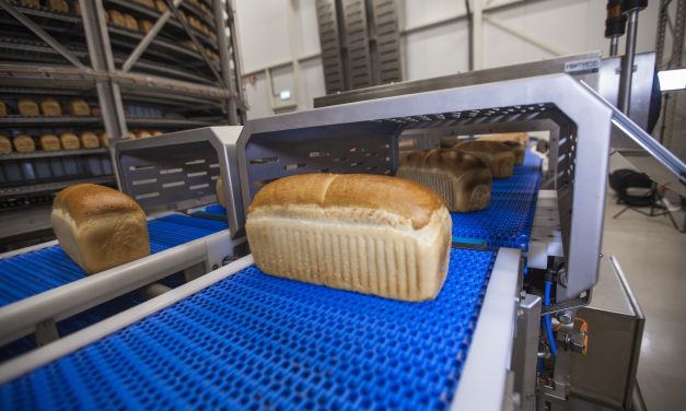 Metal detectors that prioritise productivity