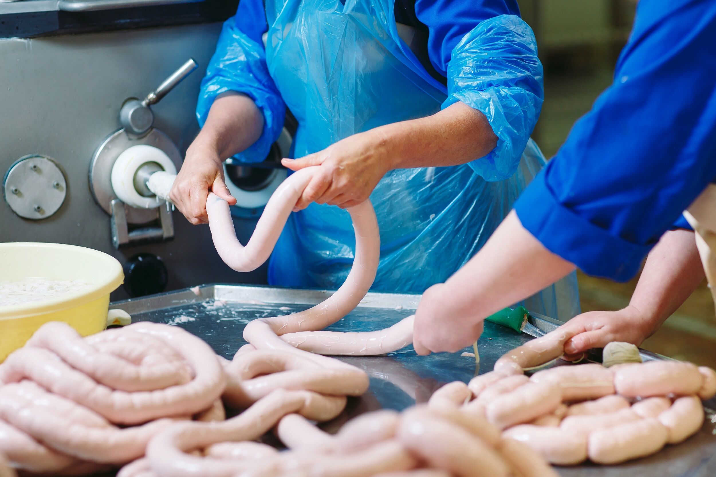 Optimising hygiene controls in food processing environments