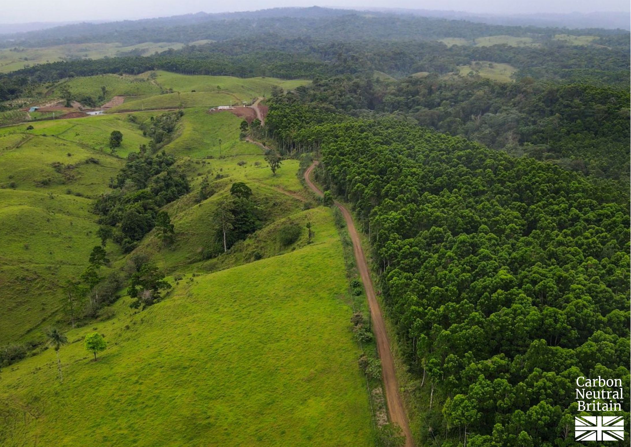 Sumitomo (SHI) Demag UK receives gold certification badge from Carbon Neutral Britain
