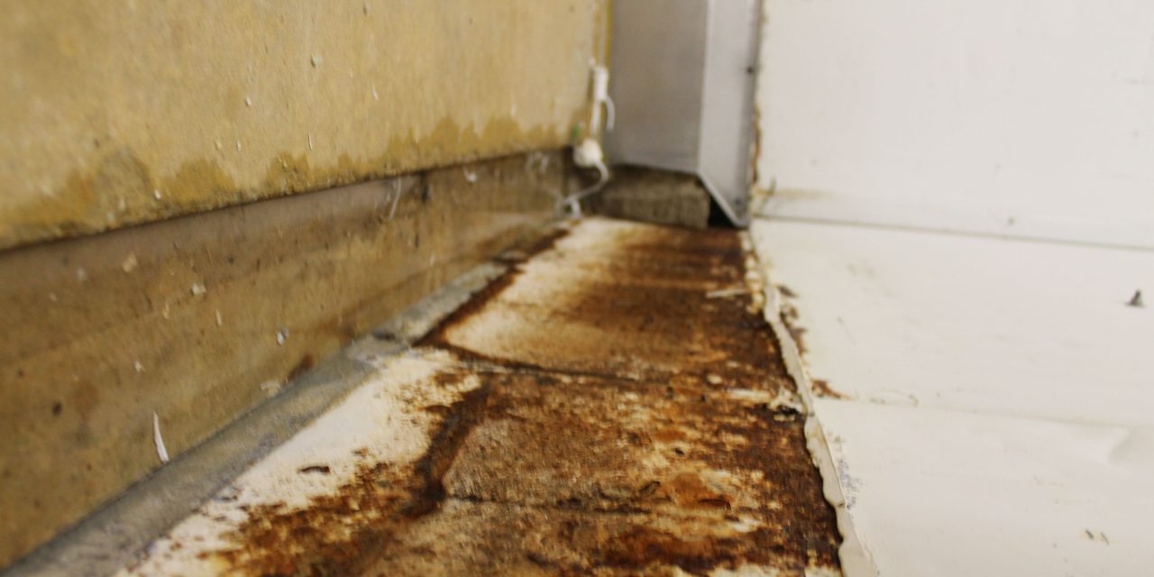 Countdown to greater Listeria regulation from EU