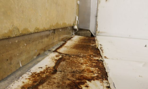 Countdown to greater Listeria regulation from EU