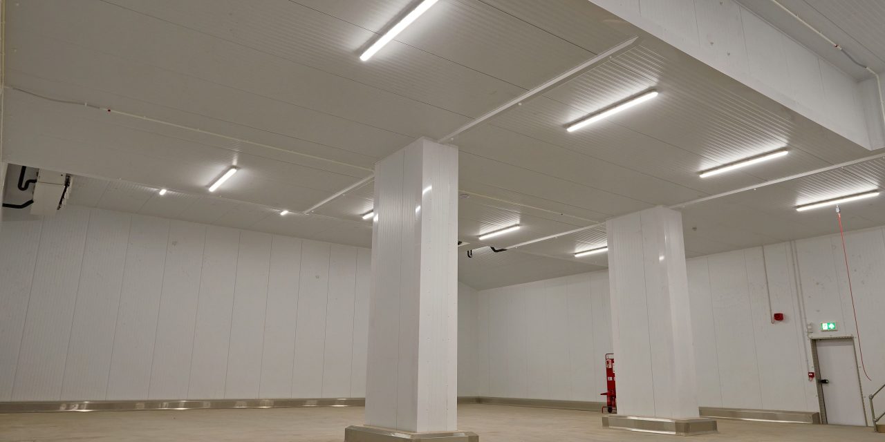 Luceco delivers fresh lighting at Newbury International Produce