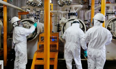 Motorised zoom lens for monitoring nuclear plant hot zones