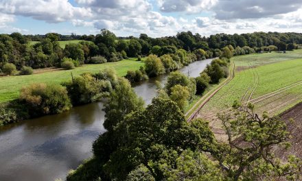 Carlsberg Britvic and The Rivers Trust launch 10-year water replenishment partnership