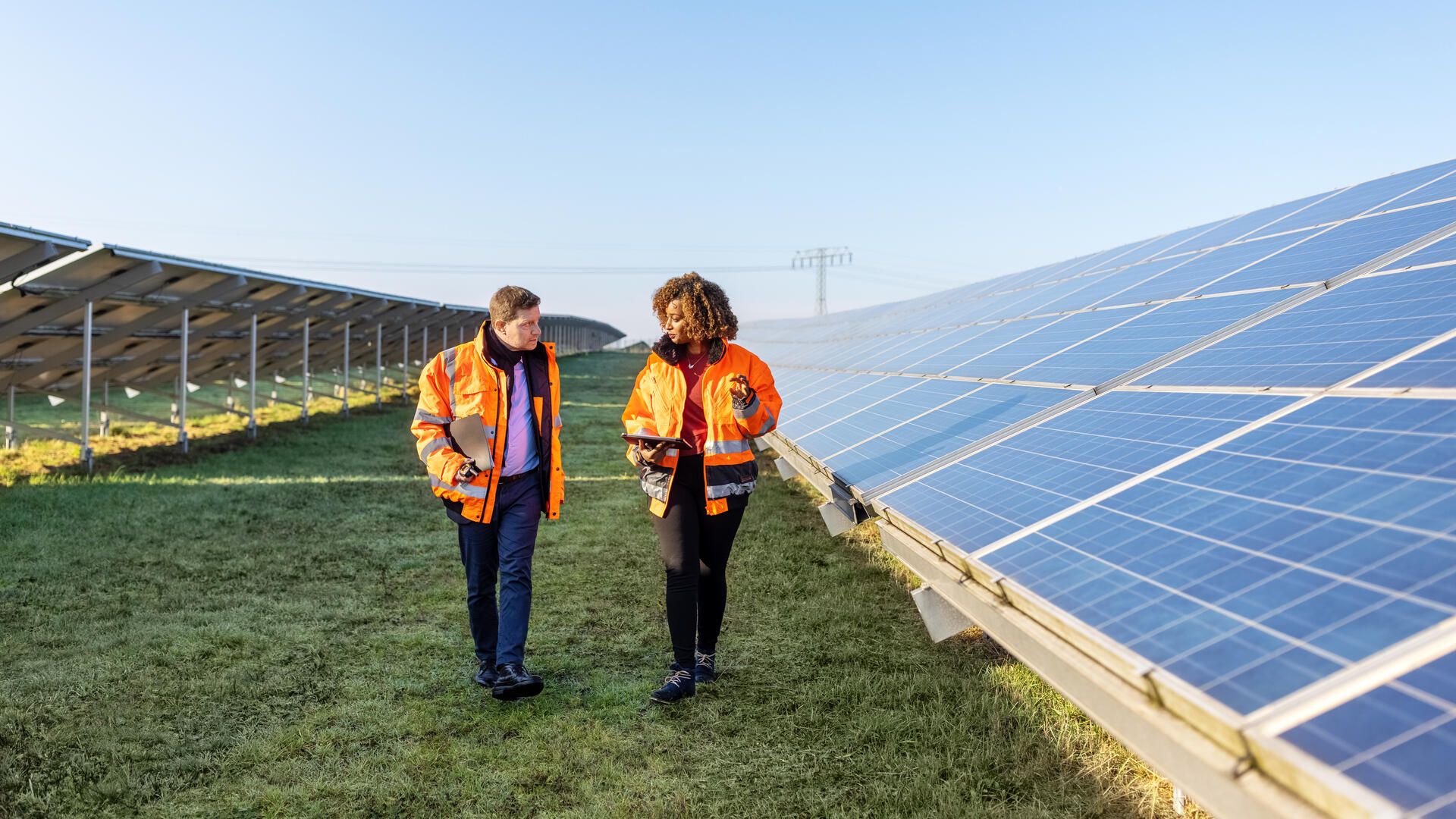 Business net zero plans blown off track by the energy crisis
