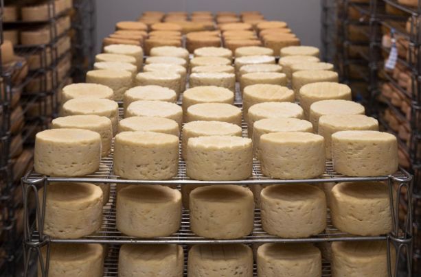 Lancashire cheese making business faces challenging recovery following devastating fire