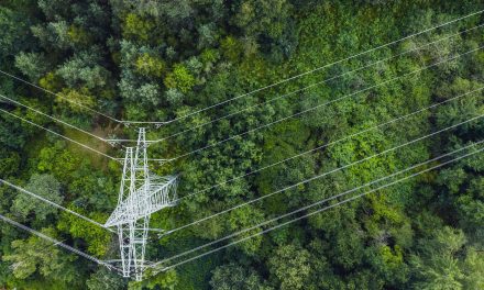 AI and digitalisation power the next phase of clean energy transition, Siemens report finds