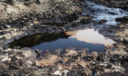 Measuring oil contamination of soil