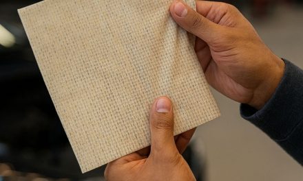 Sontara launches industry-leading sustainable wipes portfolio