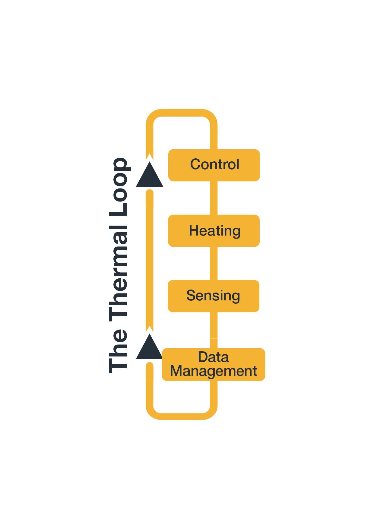 Understanding the thermal loop