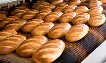Baking rolls on a large scale