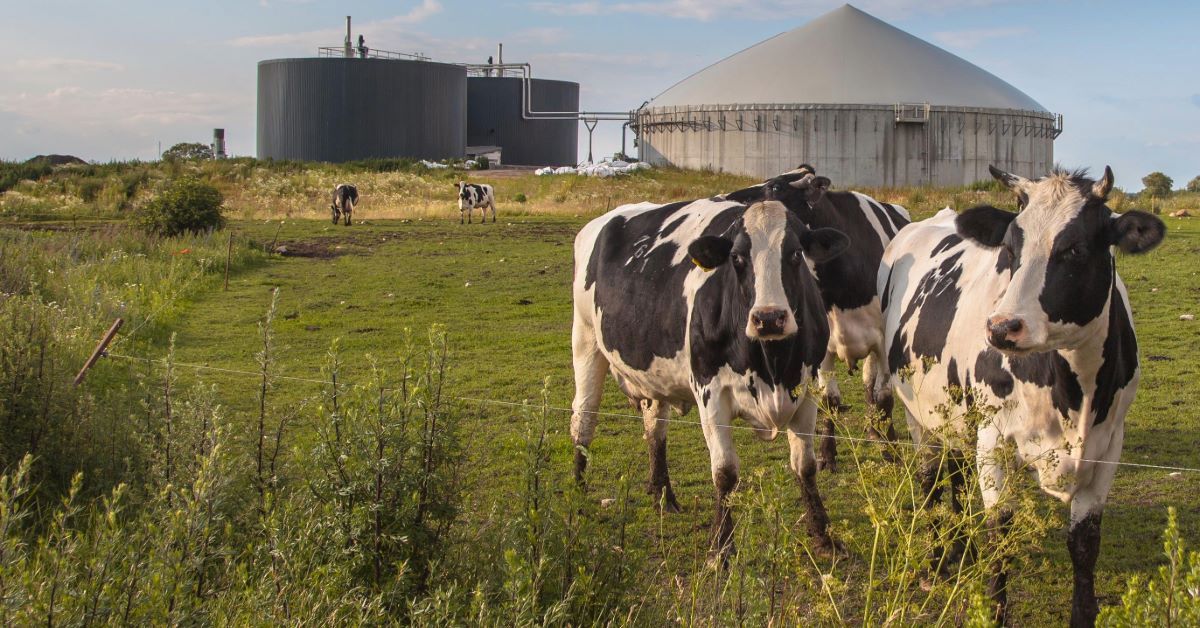 Using advanced rechnologies to understand methane emissions in the biogas industry