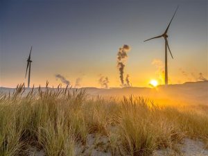 Beyond carbon: The financial case for measuring nature impact and dependency