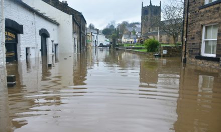 PENTA: Why electrical safety is central to post-storm grid recovery