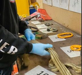 RSS rebrands Training Academy