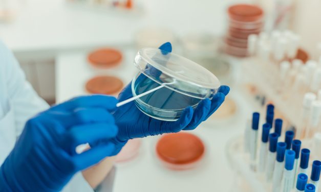 Take Root Bio launches mission to tackle dairy waste