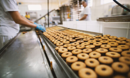 Manufacturing sector at risk of oversized and poorly matched energy equipment