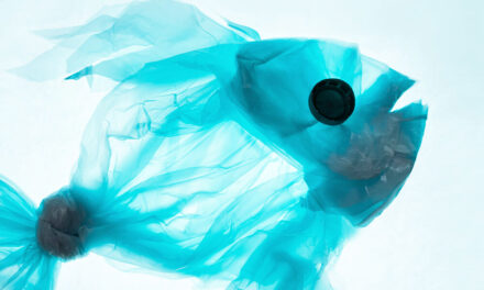 Using AI to streamline waste separation and save billions of pounds