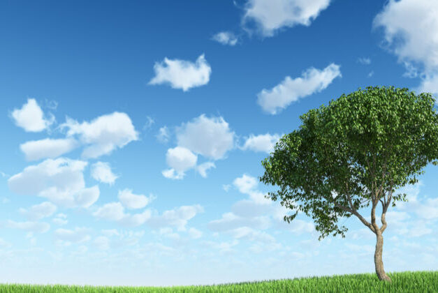 The role of gas analysis in clean air strategies to reduce carbon emissions